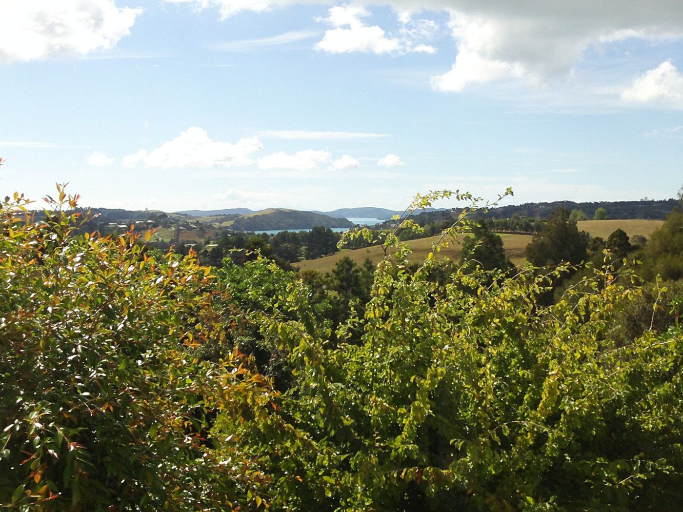 MATAKANA, Rodney