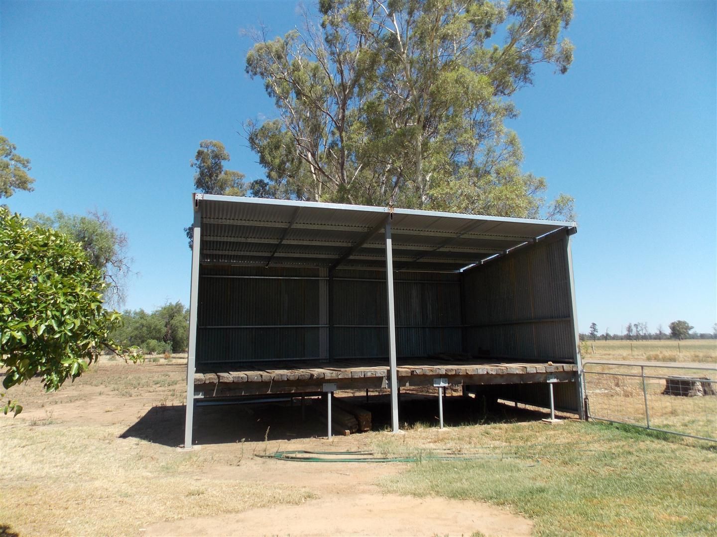62 Rodgers Street, BEDGEREBONG, NSW 2871
