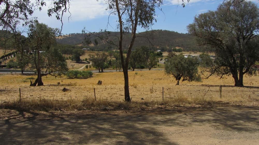 Lot 357 Centaur Road, LAVINGTON, NSW 2641