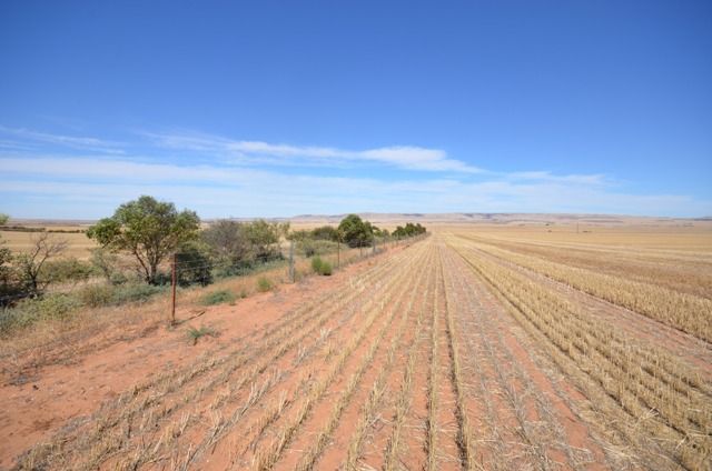 Bumbunga via, SNOWTOWN, SA 5520