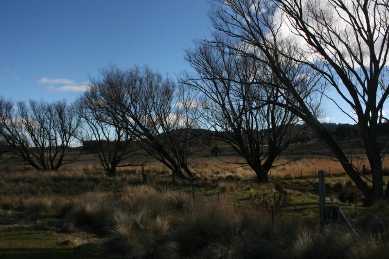 Lot 7 Callemondah Road, SHANNONS FLAT, NSW 2630