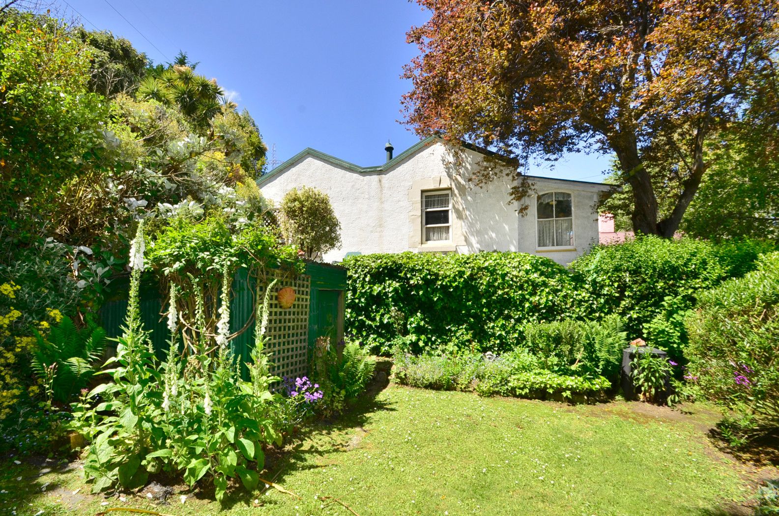 55 and 57 Lancefield Street, BALACLAVA, Dunedin City
