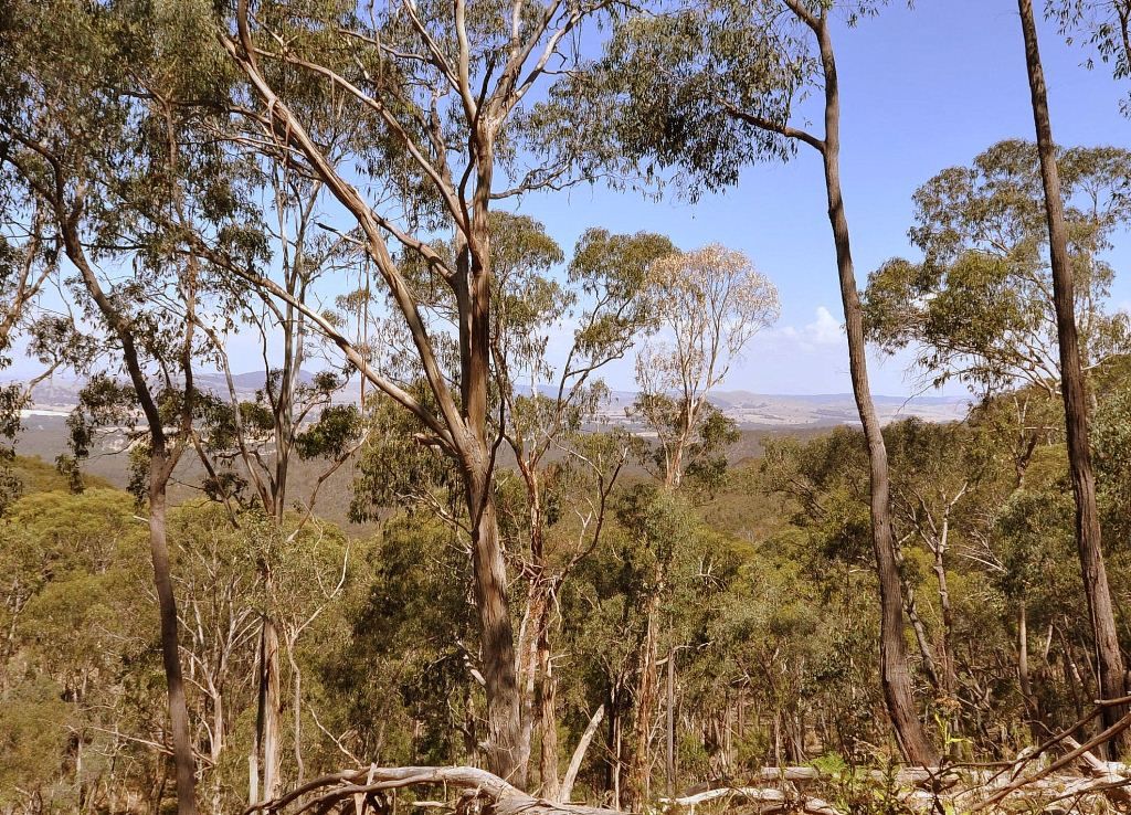 CA121C Mountain Hut Track, AMPHITHEATRE, VIC 3468