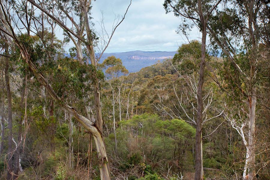 23 Sylvania Street, MOUNT VICTORIA, NSW 2786