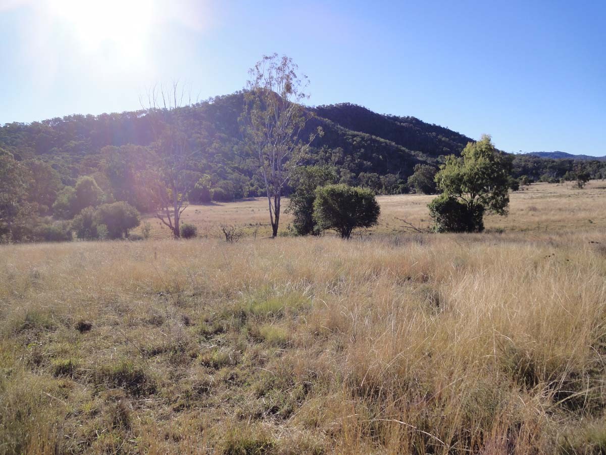 Lot 1, 2 and 6 Dorman's Gully Road, BUNYA MOUNTAINS, QLD 4405