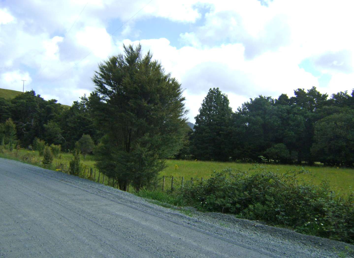 Hikurangi Whangarei District 0114, Hikurangi, Whangarei District Real