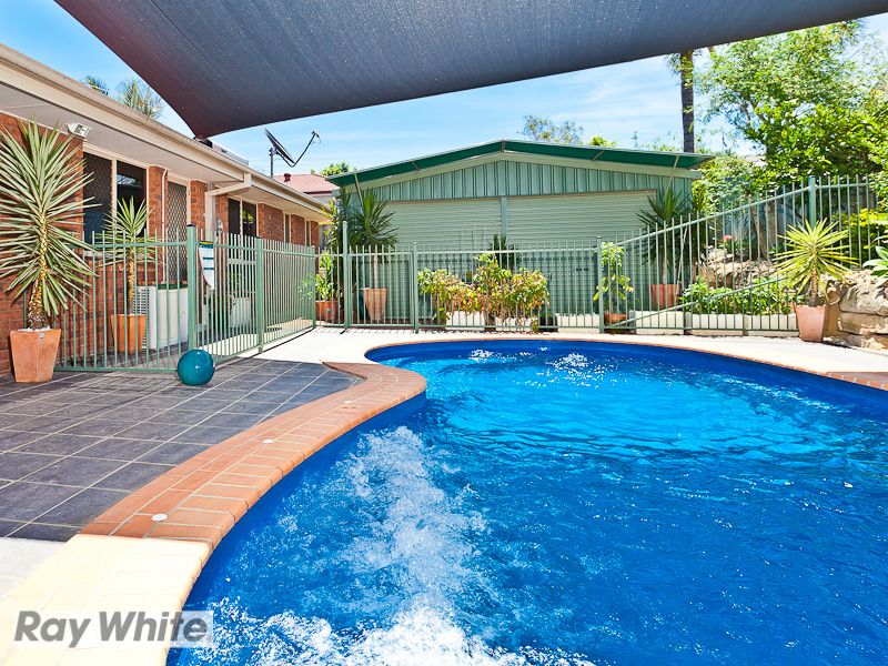 20 Limosa Court, MANGO HILL, QLD 4509