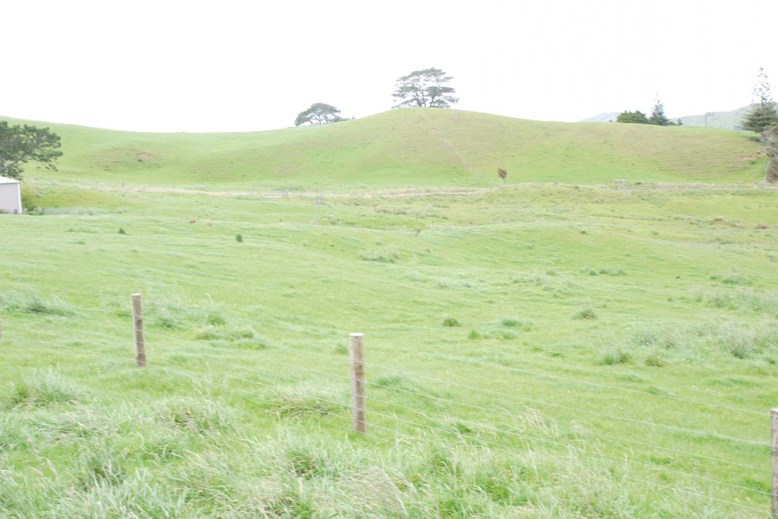 29 Fordyce Road, Tauhoa, Rodney