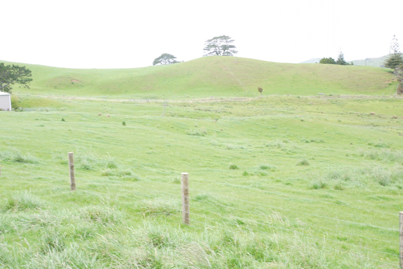29 Fordyce Road, Tauhoa, Rodney