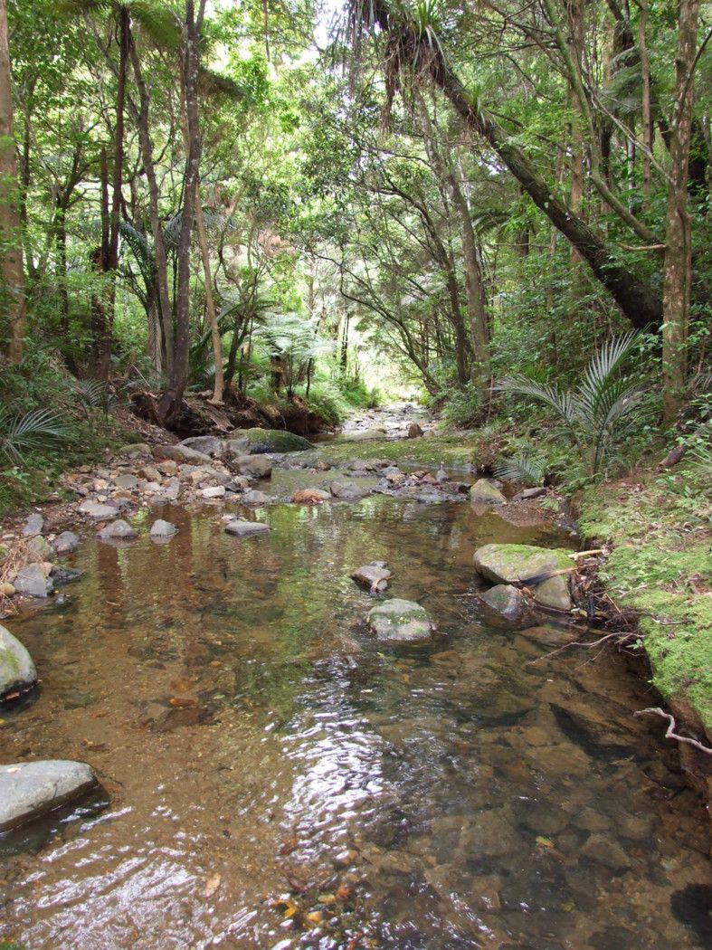 757 Fern Flat Road, PERIA, Far North District