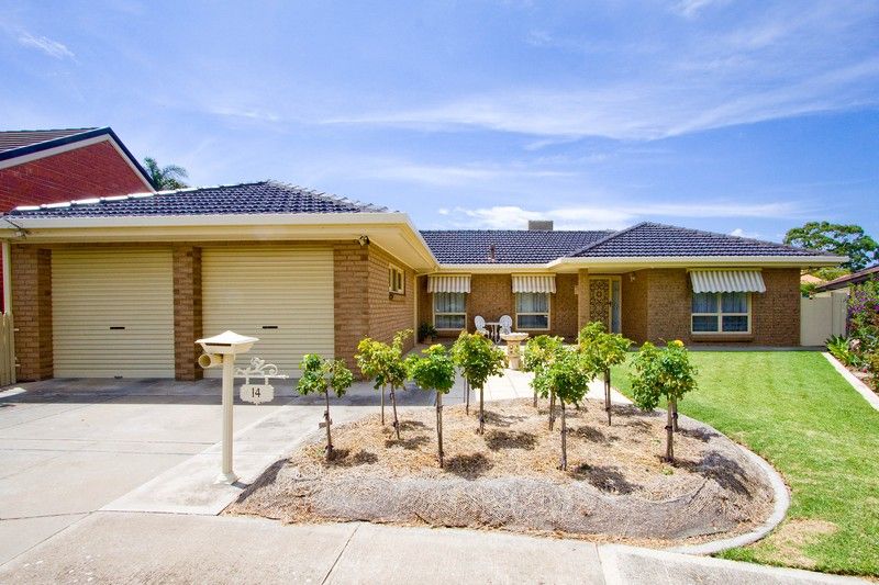 14 Mamande Crescent, LOCKLEYS, SA 5032
