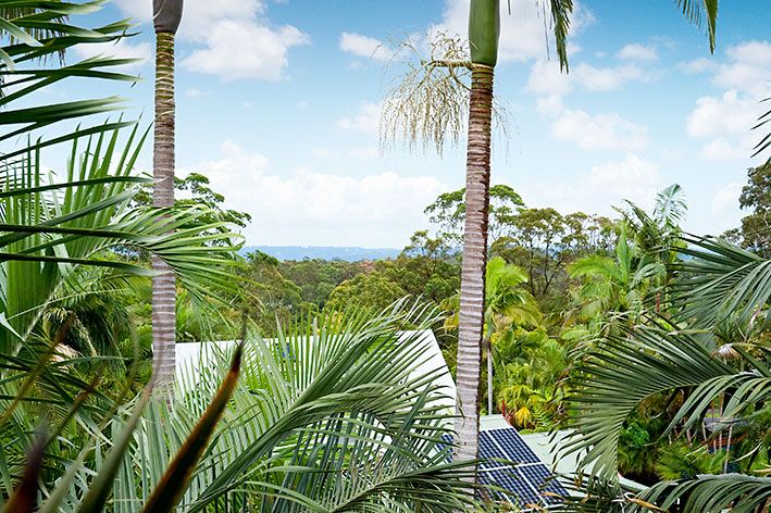 15 Mons Road, BUDERIM, QLD 4556