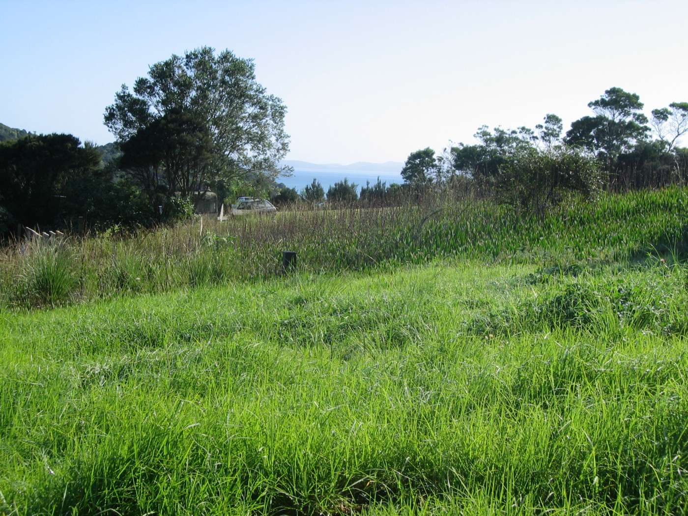 MANGONUI  Far North District  0420 photo 7