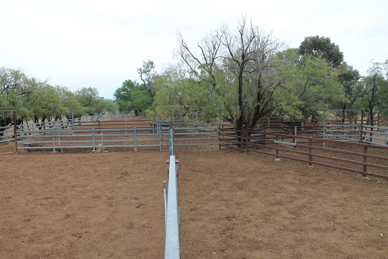 "Cooee Downs" TAROOM, QLD 4420 Sold Rural Livestock Property Ray White Rural Queensland