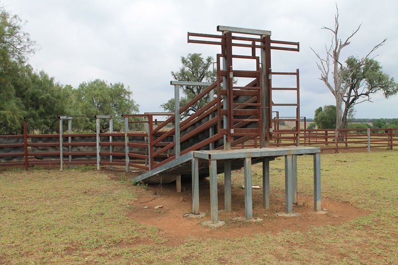 "Cooee Downs" TAROOM, QLD 4420 Sold Rural Livestock Property Ray