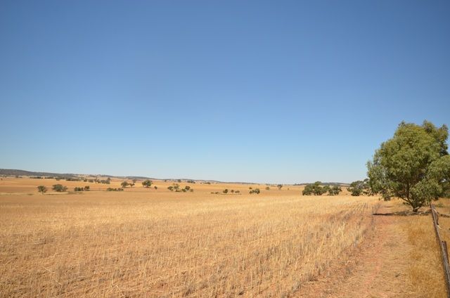 Tothill Creek via, MARRABEL, SA 5413