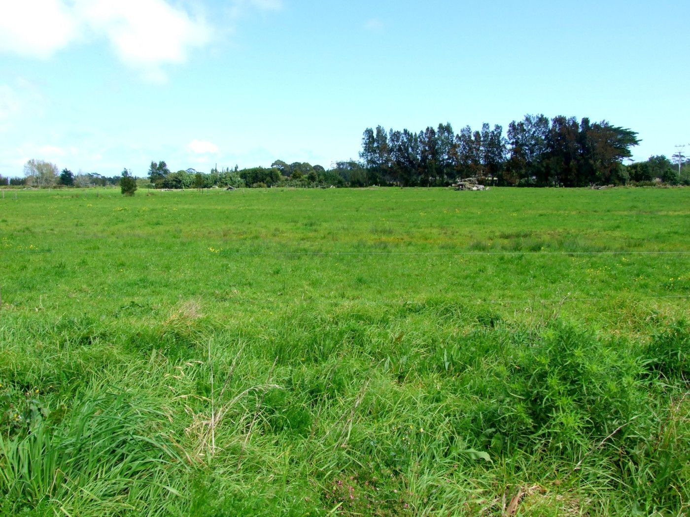 173 Spains Road, Awanui Rd1, Northland