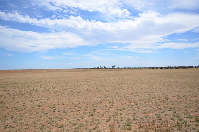 Lot 2 "Smith's" and "McArdles", WILD HORSE PLAINS, SA 5501
