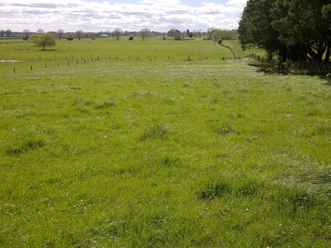 0 Kite Road, OHAUPO, Waipa District