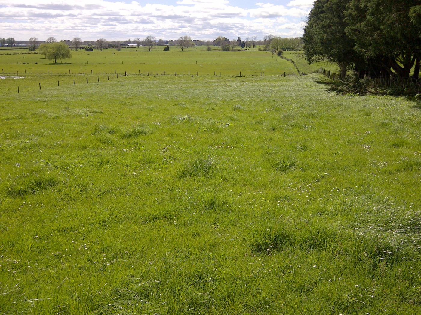 0 Kite Road, OHAUPO, Waipa District