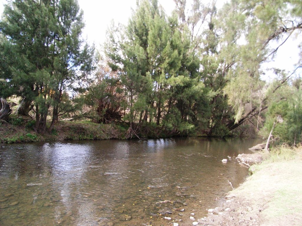 1645 Nundle Road, DUNGOWAN NSW 2340
