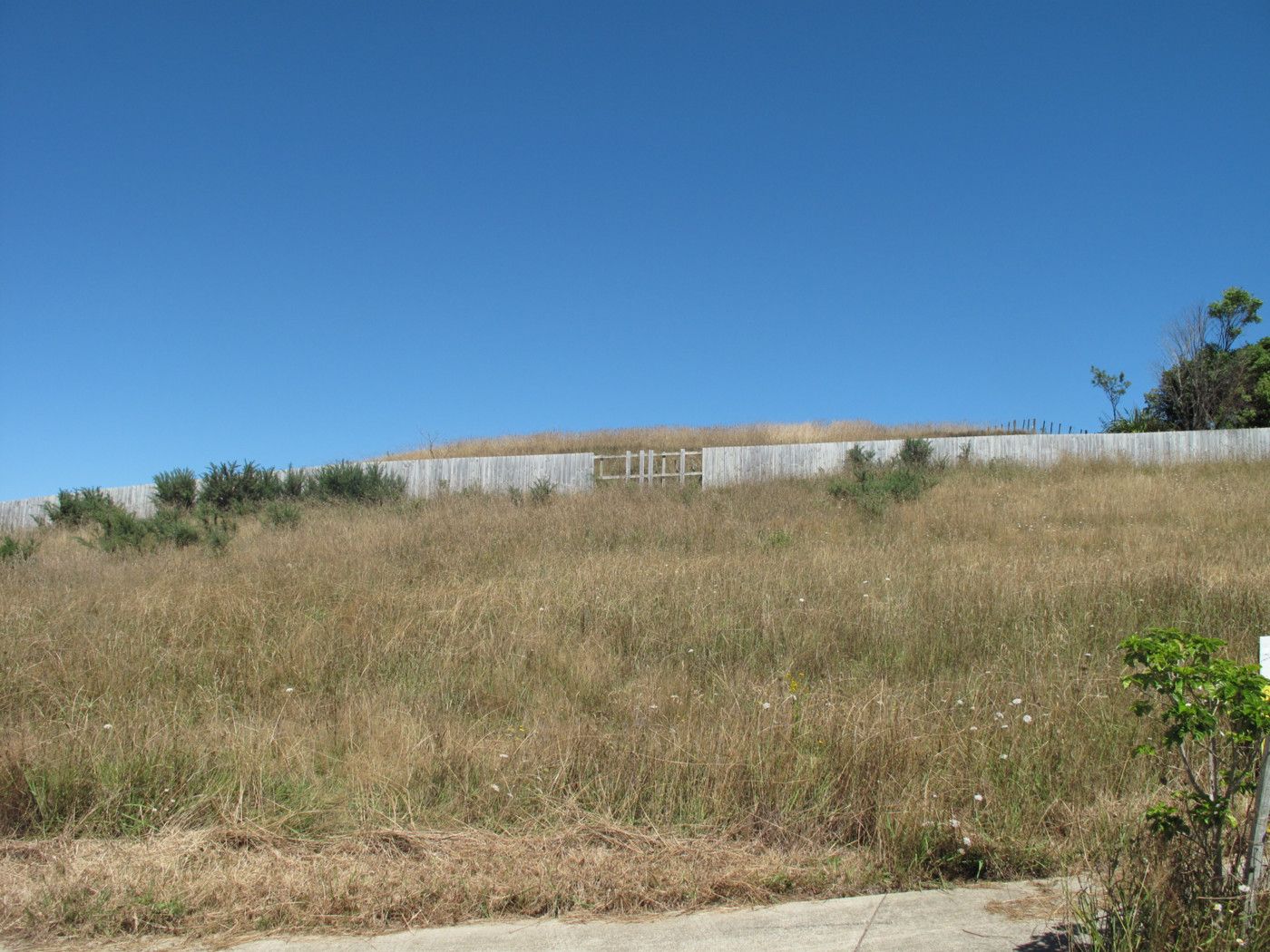 7 Puka Place, RAGLAN, Waikato District