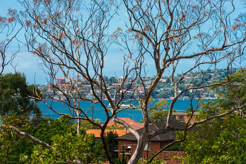 36 Murdoch Street, CREMORNE NSW 2090