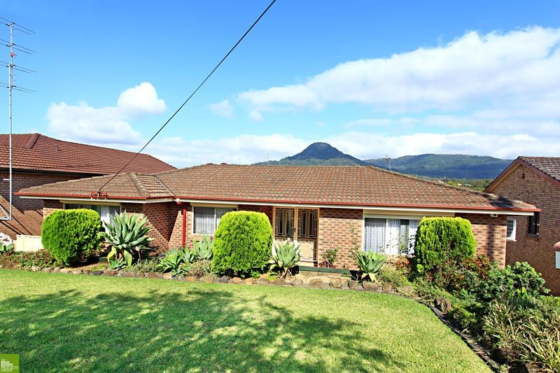 14 Amaroo Avenue, FIGTREE NSW 2525