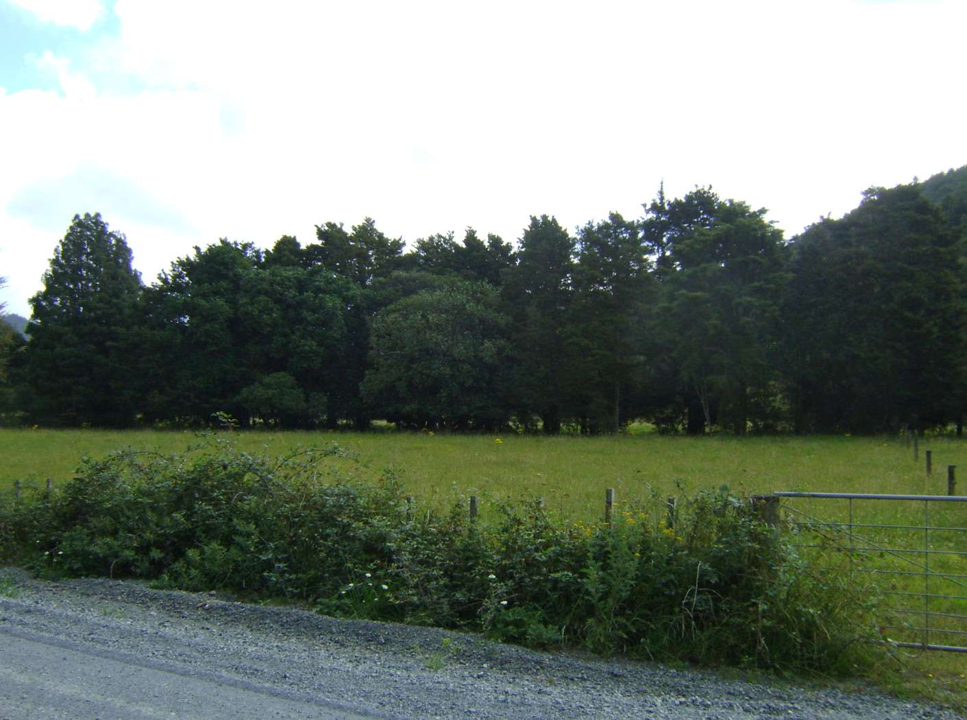 Hikurangi Whangarei District 0114, Hikurangi, Whangarei District Real