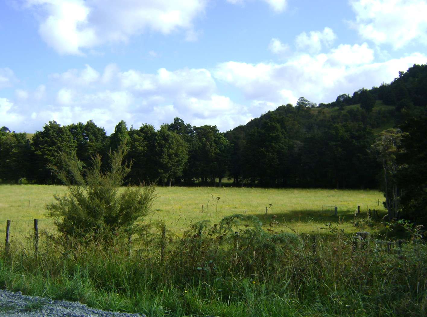 Hikurangi Whangarei District 0114, Hikurangi, Whangarei District Real