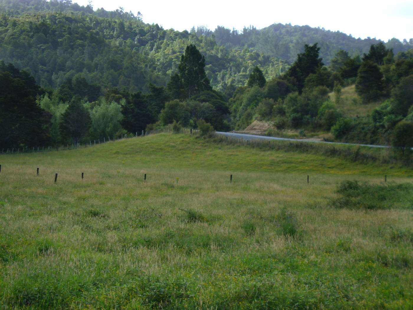 Hikurangi Whangarei District 0114, Hikurangi, Whangarei District Real