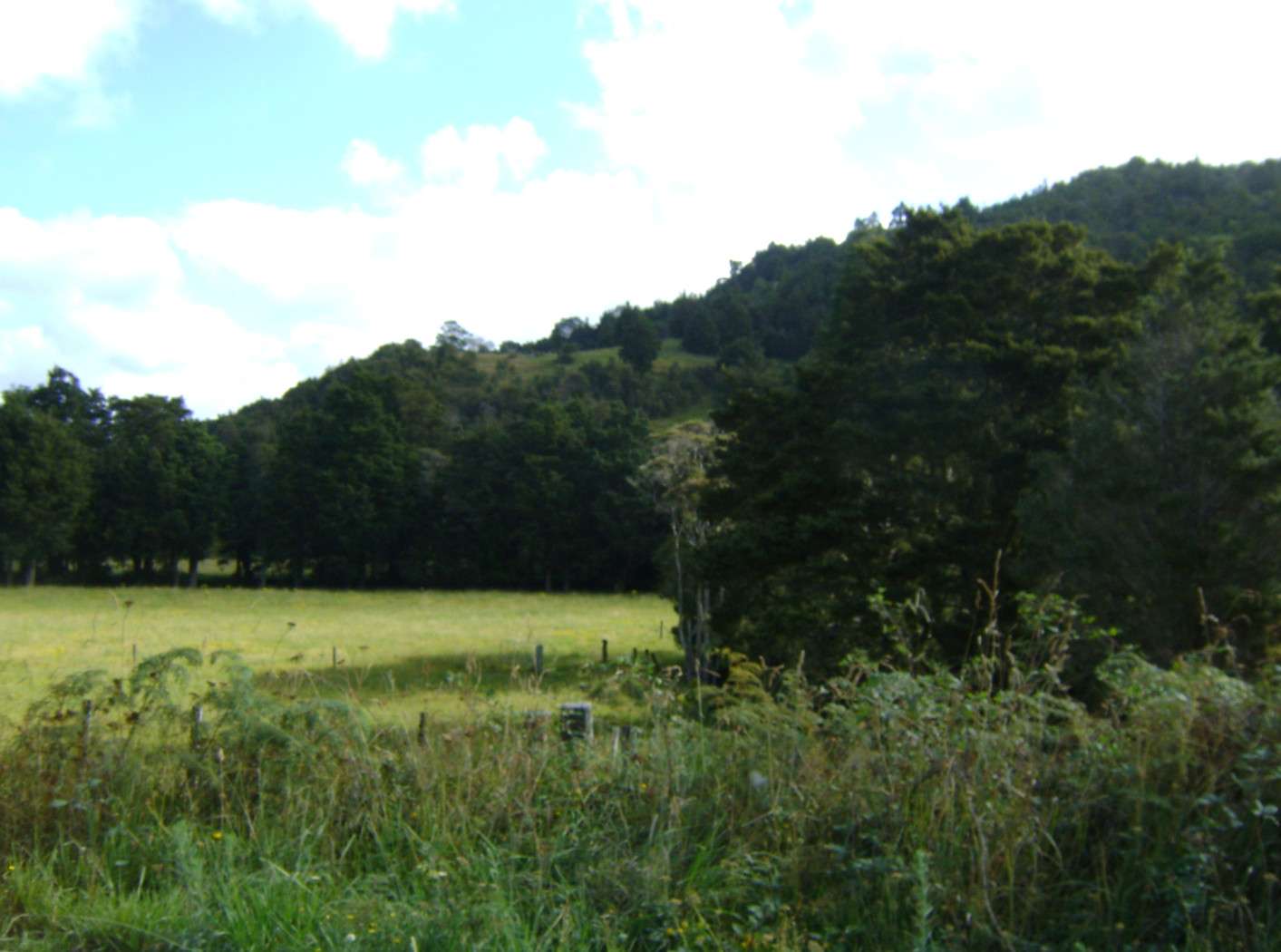 Hikurangi Whangarei District 0114, Hikurangi, Whangarei District Real