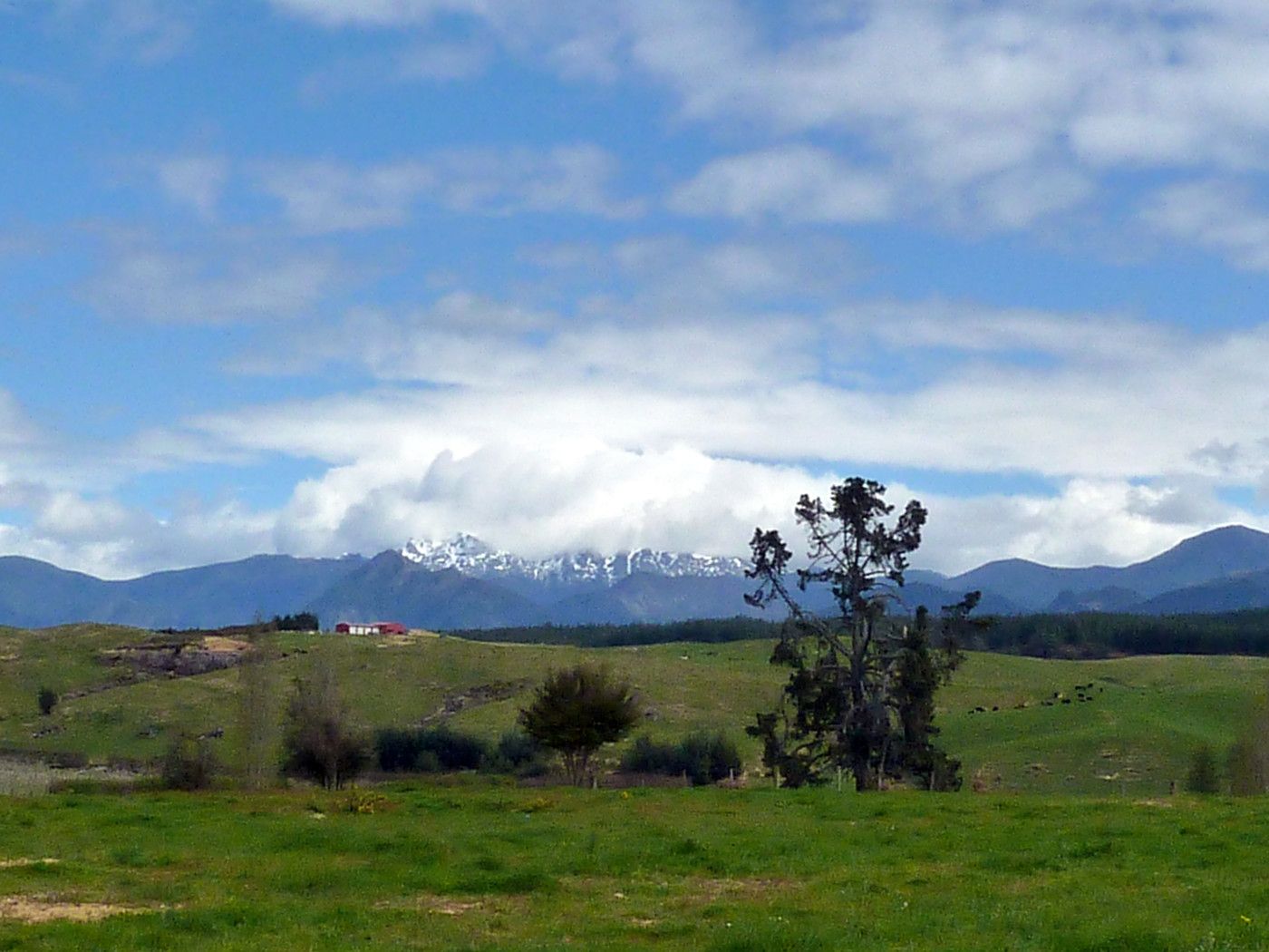 LOWER MOUTERE, Tasman District