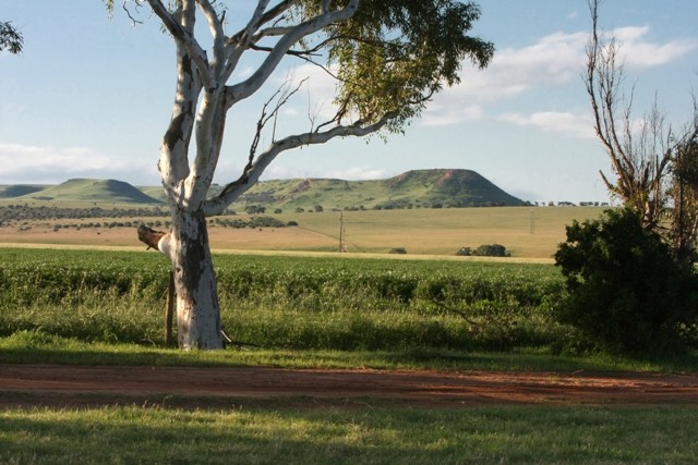 Lot 312 Dorset Drive, DEEPDALE, WA 6532