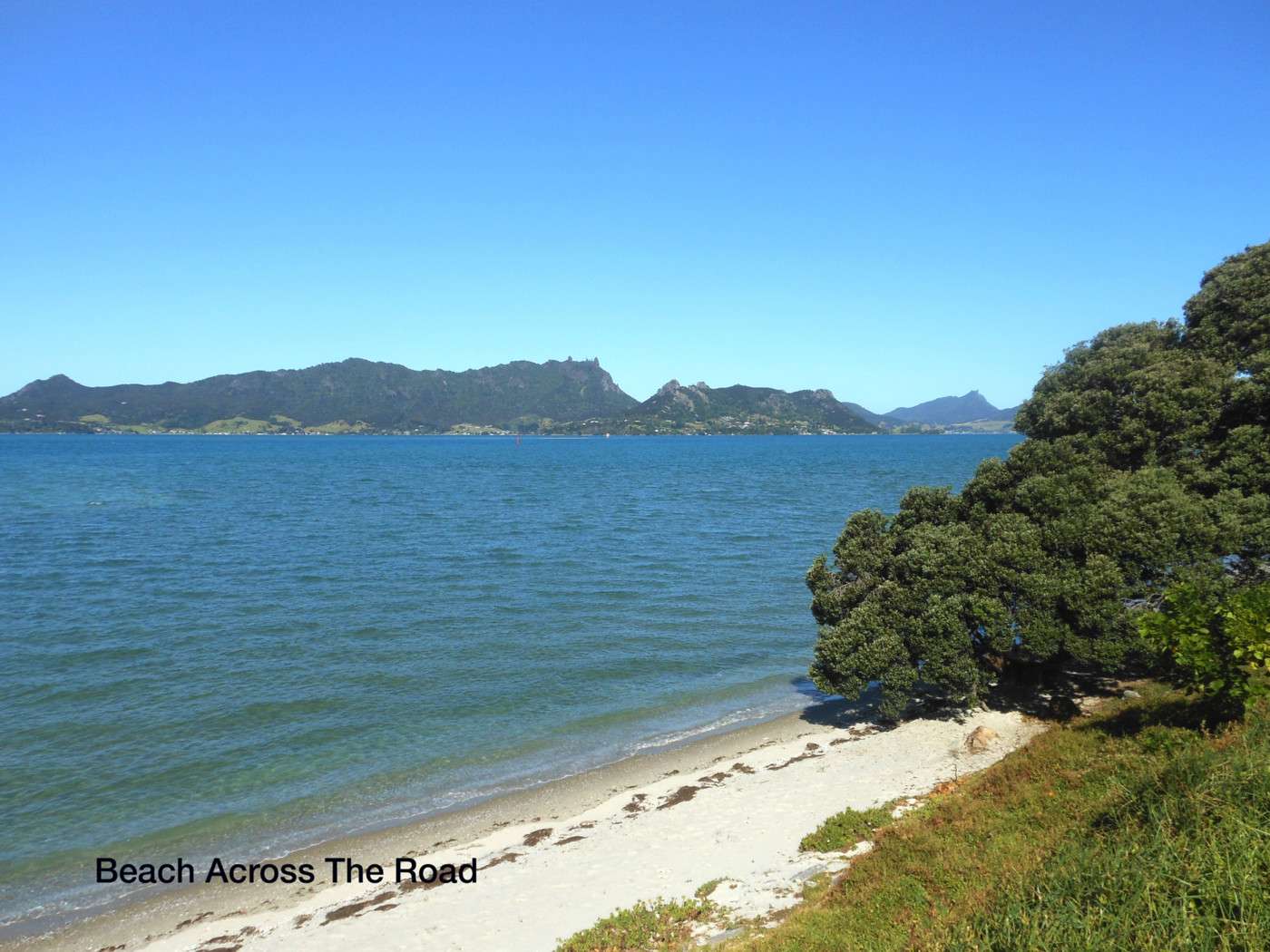 247 One Tree Point Road, One Tree Point, Whangarei District Real