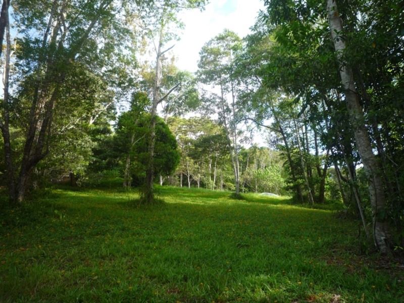 KURANDA, QLD 4881