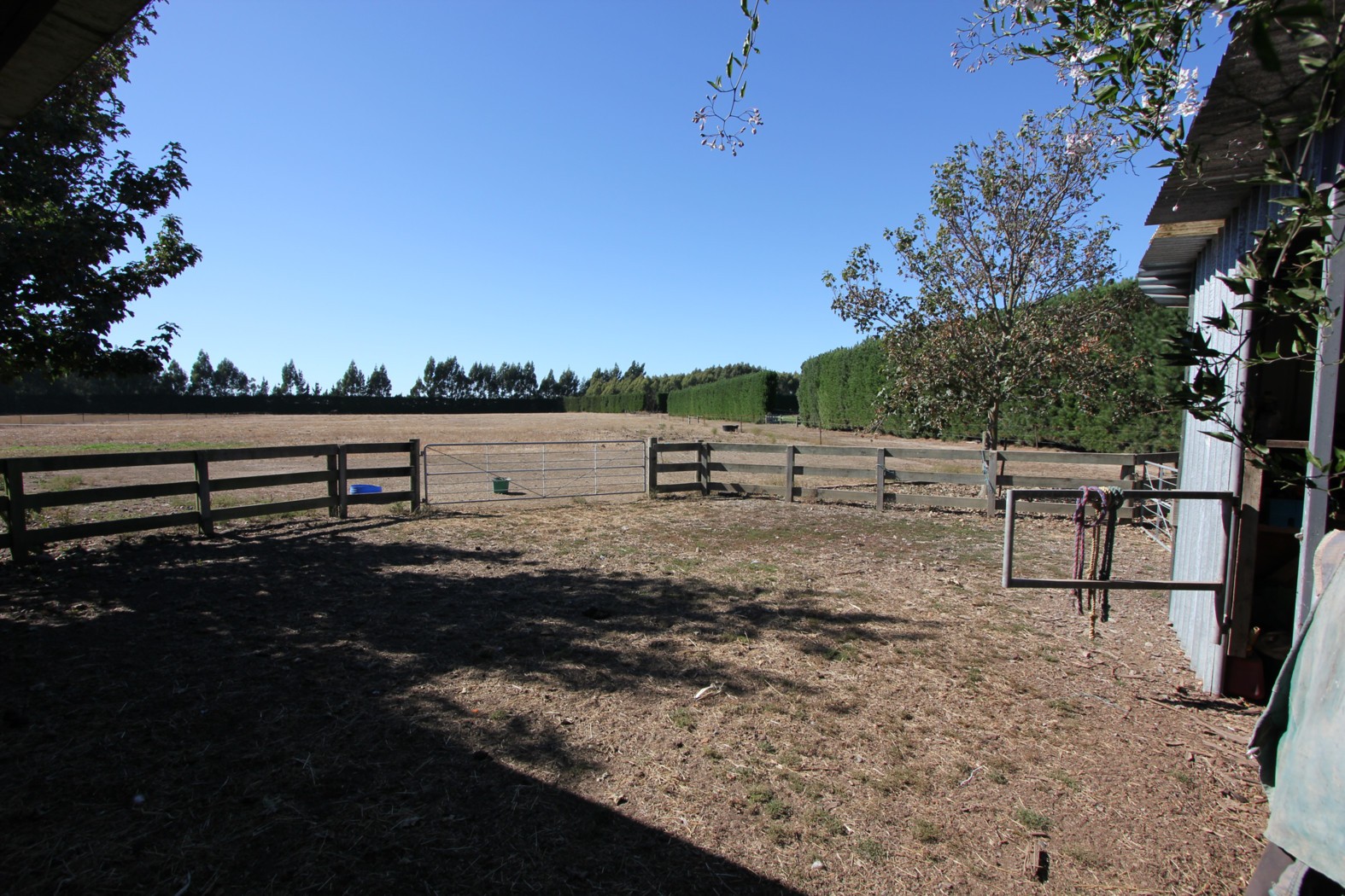 963 Rakaia Selwyn Road, DUNSANDEL, Selwyn District