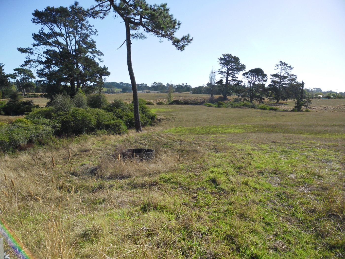1397 Dairy Flat Highway, DAIRY FLAT, Rodney