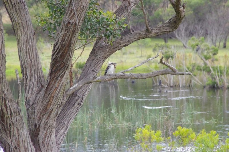 Lot 21 Bada Crescent, DOLPHIN POINT, NSW 2539