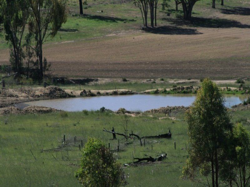 DELUNGRA, NSW 2403
