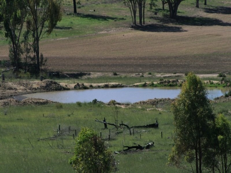 DELUNGRA, NSW 2403