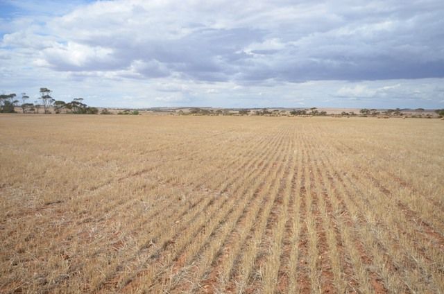 3 Chain Road, BEAUFORT, SA 5550