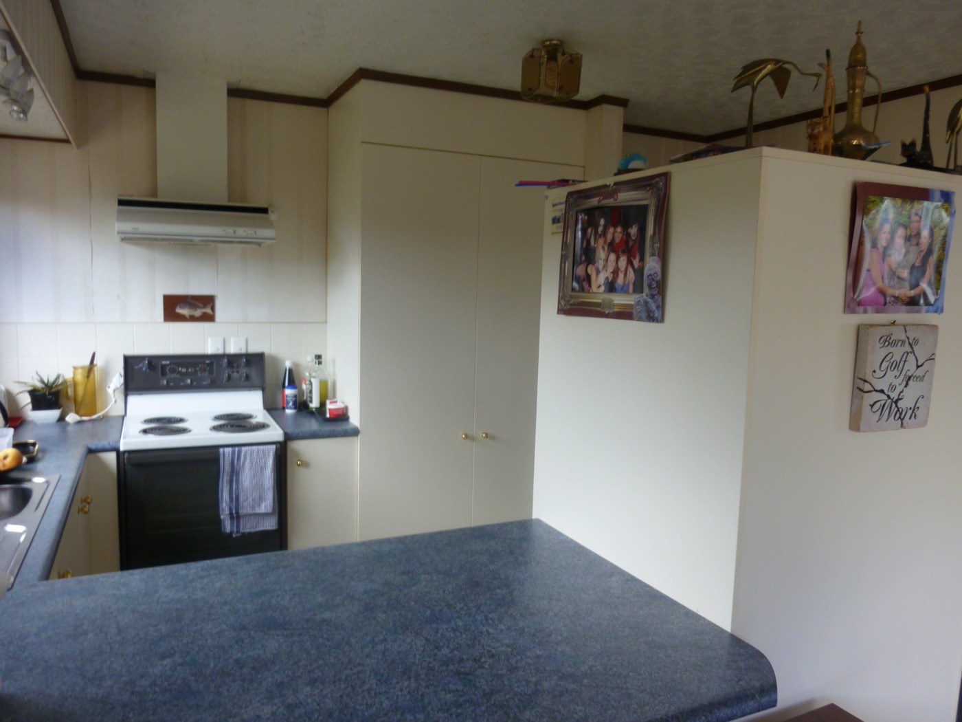 8 Leander Street, MT MAUNGANUI, Tauranga City