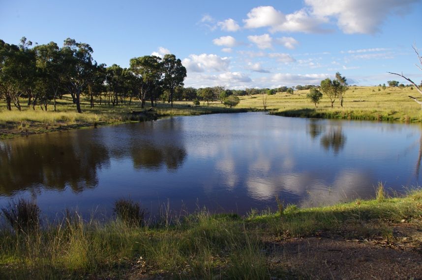 INVERELL, NSW 2360