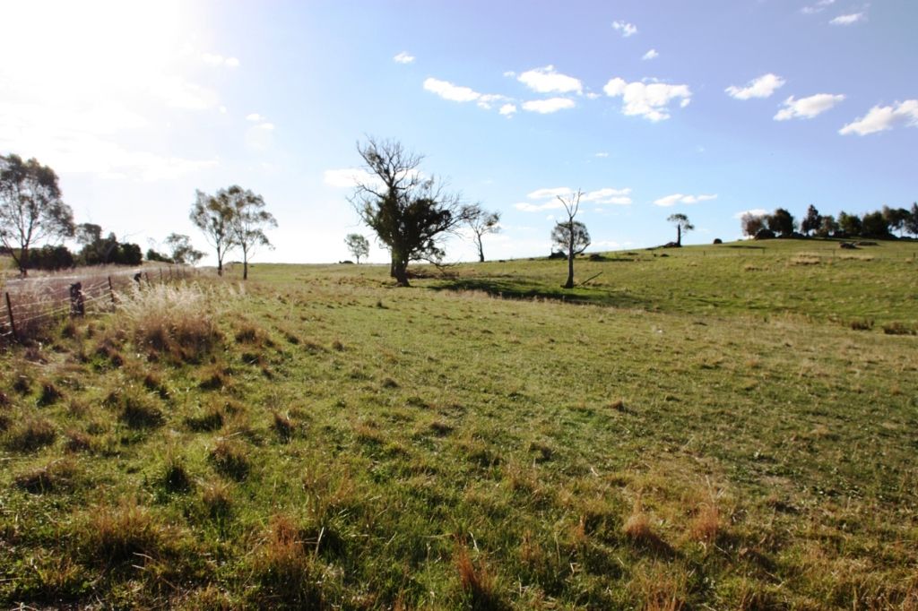 440 Milvale Road, YOUNG, NSW 2594