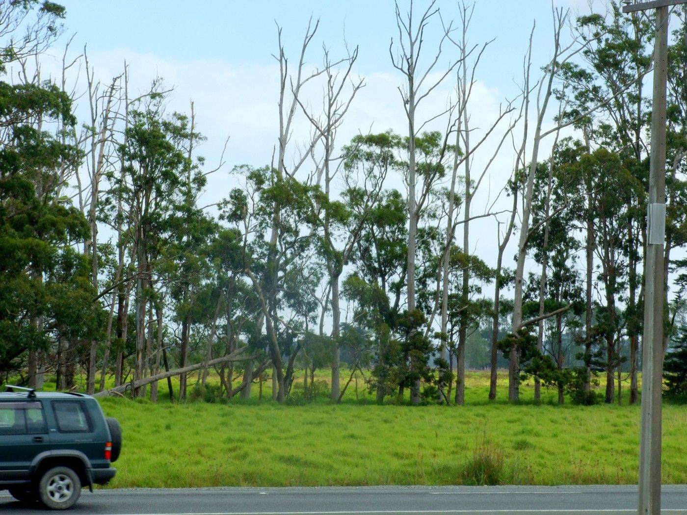 KAITAIA, Far North District