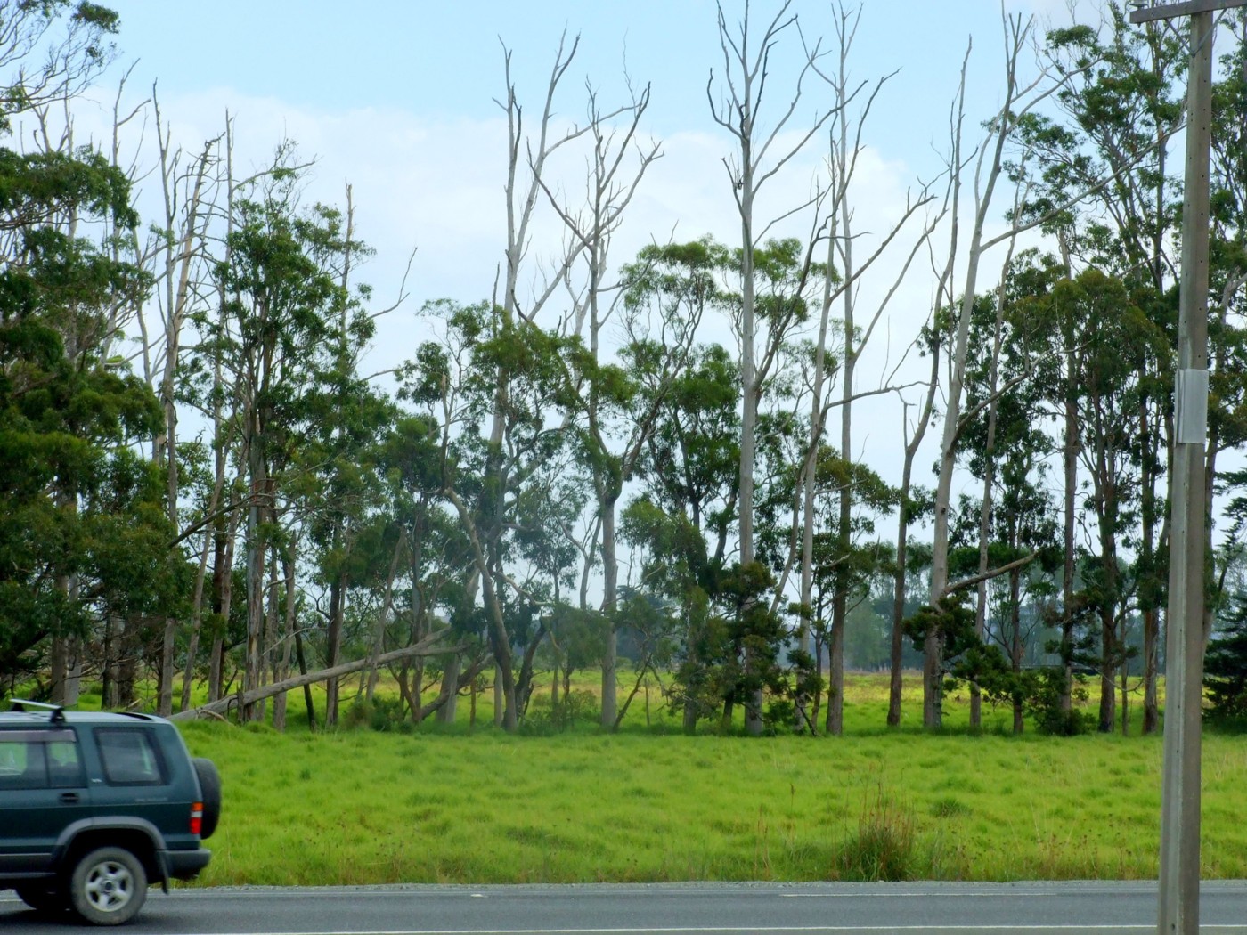 KAITAIA, Far North District