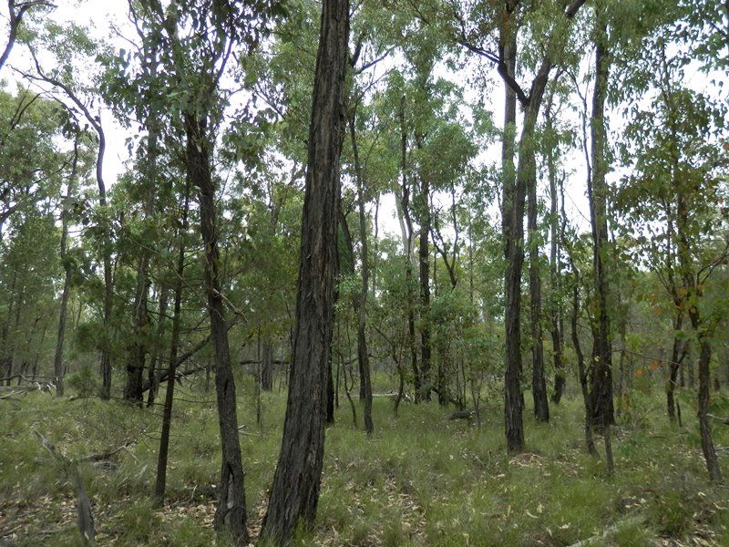 Lot 8 Pine Ridge Road Condamine Farms, MILLMERRAN, QLD 4357