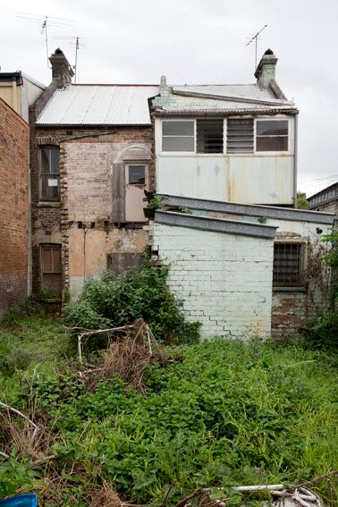 55 Vine Street, CHIPPENDALE, NSW 2008