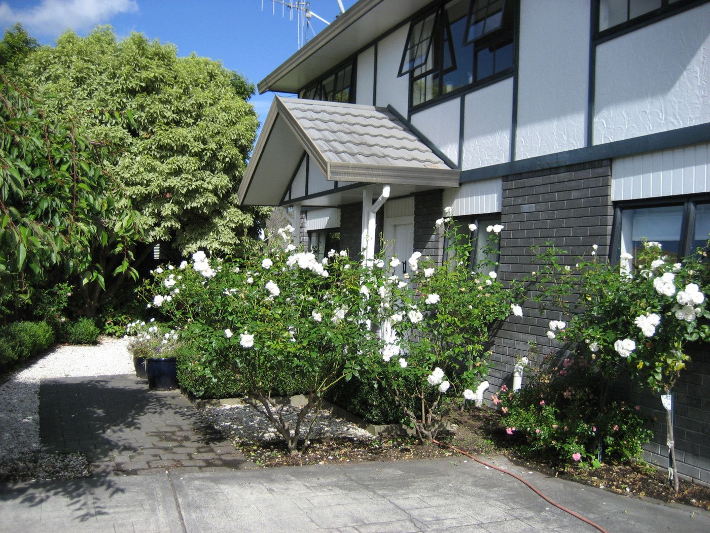 21a Tupelo Street, PUKETE, Hamilton City
